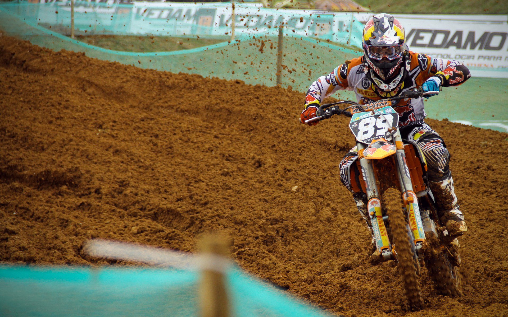 开云APP-霍勒迪击碎14年魔咒！国王力克鹈鹕背后，一粒解药救活满盘棋局